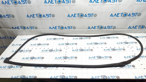 Honda Accord 23-24 front left door seal