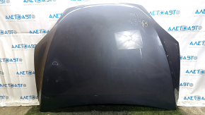Tesla Model X 16-21 bare hood