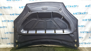 Tesla Model X 16-21 bare hood
