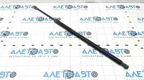 Trunk door shock absorber right Toyota Sienna 21-25