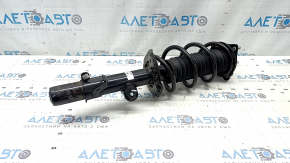 Front shock absorber left Honda CRV 23-25 HEV AWD
