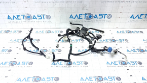 Lexus RX350 RX450h 10-15 Passenger Seat Wiring