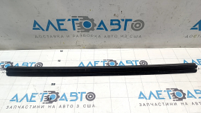 Door glass seal inner rear right Tesla Model S 21-
