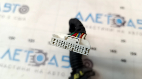 Tesla Model S 21- Rear Left Door Wiring