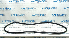 BMW 5 F10 11-16 Trunk Lid Seal