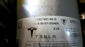 Air strut rear left Tesla Model X 16-21 type 3