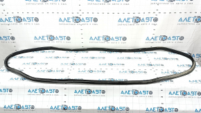 Rubber seal for trunk door VW Atlas 18-24
