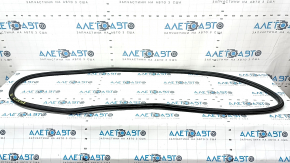 Door seal rear left VW Atlas 18-24