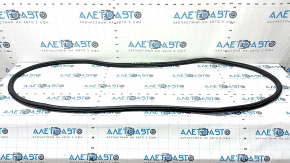 Door seal rear right VW Atlas 18-24