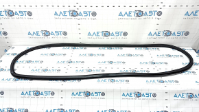 Door seal front right VW Atlas 18-24