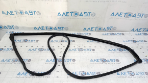 Toyota Avalon 13-18 front left door seal, fasteners torn