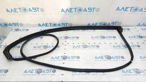 Toyota Avalon 13-18 front left door seal, fasteners torn