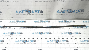 Hood seal on bumper Toyota Camry v70 18-24 L/LE/XLE