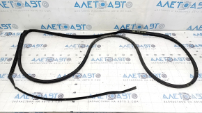Honda Accord 23-24 rear right door seal, fasteners torn
