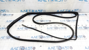 Honda Accord 23-24 rear right door seal, fasteners torn