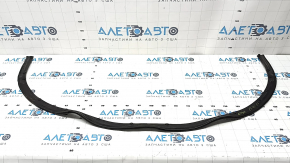 Mazda CX-50 23-25 Front Hood Seal
