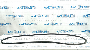 Mazda CX-50 23-25 rear left door seal
