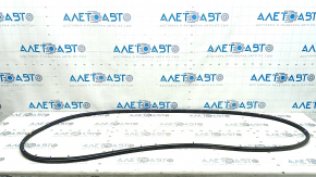 Mazda CX-50 23-25 rear right door seal