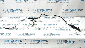 Toyota Prius 30 10-15 rear right door wiring