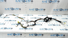 Toyota Prius 30 10-15 Front Right Door Wiring