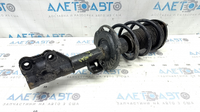 Front left shock absorber assembly for Mazda CX-50 23-24 R17