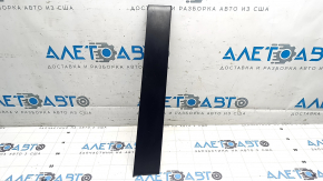 Toyota Sienna 21-24 front side door trim, rear left