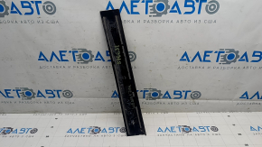 Toyota Sienna 21-24 front side door trim, rear left