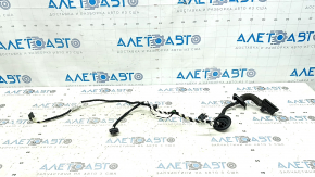 Rear right door wiring for a VW Tiguan 18-24