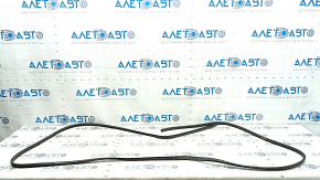 BMW X1 F48 20-22 Panoramic Window Seal