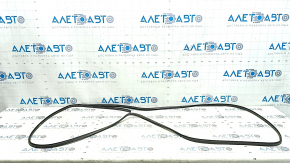 BMW X1 F48 20-22 Panoramic Window Seal
