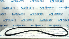 Front Left Door Seal Buick Encore 13-19
