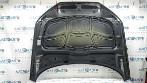 Bare hood of Audi A4 B9 17-20 steel, graphite LX7L, nicks, chips, sand