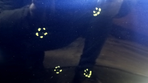 Tesla Model Y 20-25 Blue PPSB Bare Hood, Steel, Scratched, Chips