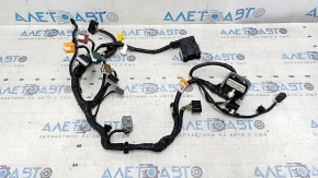 Ford Edge 15-24 Driver's Seat Wiring