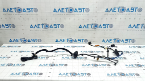 Kia Sorento 21-24 rear right door wiring