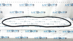 Kia Sorento 21-25 rear right door seal
