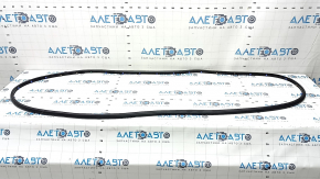 Kia Sorento 21-25 rear right door seal