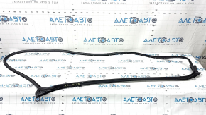 Infiniti QX50 19-25 front right door seal