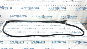 Infiniti QX50 19-25 front right door seal