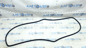 Panorama glass seal on the Audi A6 C8 body (19-25 rubber)