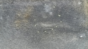 The left underbody protection of the Audi A5 F5 18-18 5D is pressed and worn.