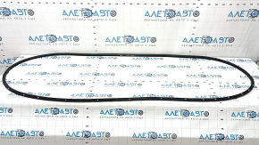 Mazda CX-90 24-26 Rear Left Door Seal