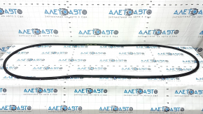 Mazda CX-90 24-26 Rear Right Door Seal