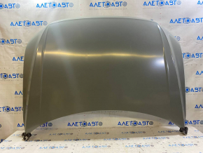 Naked hood VW Tiguan 18-24