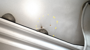 The door is bare, front right, Mazda CX-9 16-23, white 25D, dented, bump
