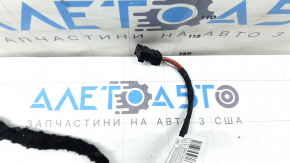 BMW X7 G07 19-23 keyless front left door wiring, door closer