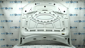 Audi Q8 19-26 hood, steel, black LC9X