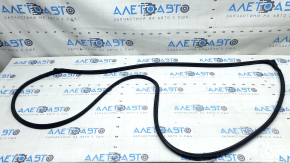 Front right door seal Honda CRV 23-