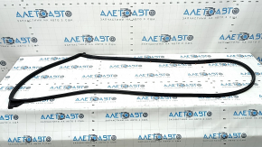 Subaru Forester 25-26 rear left door seal