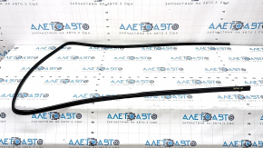 Volvo XC60 18-26 Front Panoramic Window Seal